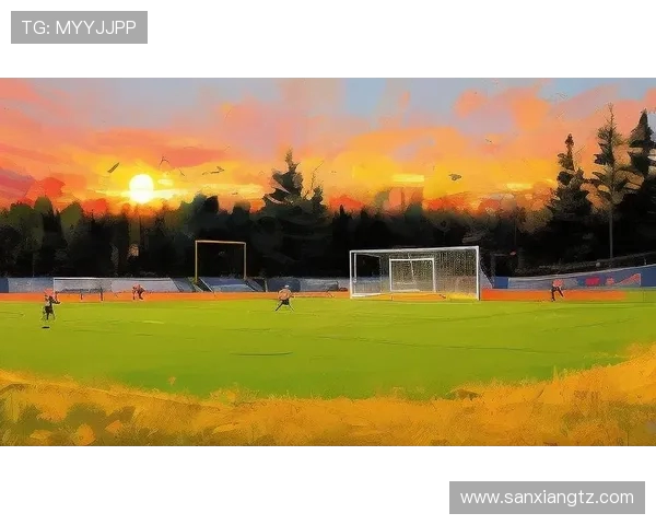 从绿茵场到荣耀殿堂足球如何点燃世界的激情与梦想