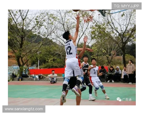 南京篮球队实力强劲荣登全国篮球实力排行榜第十名 南京篮球队实力强劲荣登全国篮球实力排行榜第十名