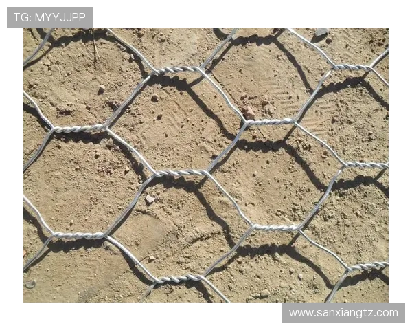 深圳攀岩队的区域防守策略与技术分析深度探讨 深圳攀岩队的区域防守策略与技术分析深度探讨