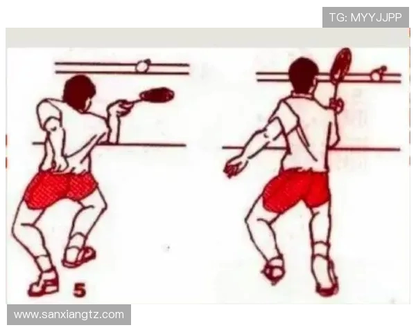 乒乓球技术与战术的完美结合：从基础训练到高级技巧的全面解析